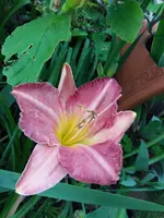 20190714_114304.jpg