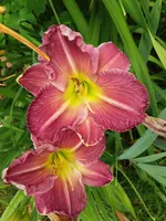 20190714_114236.webp