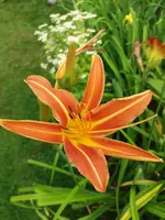 20190714_114207.webp