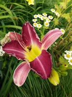 20190714_114059.webp