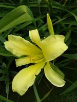20190714_114050.webp