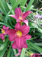 20190714_114107.webp