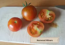 20190714_172251.webp