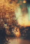 0M3A0699.jpg