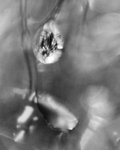 0M3A0701.jpg