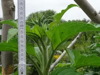 k-DSC01317.webp