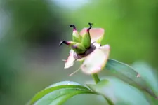 image007.webp