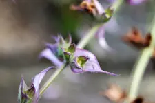 image004.webp