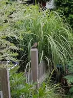 20190715_200414.webp