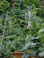 20190715_200314.webp