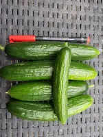 20190715_195734.webp