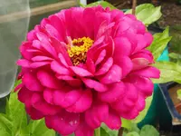 P1020840.webp