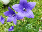 P1020850.JPG