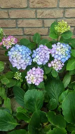 20190703_104105.webp