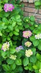 20190703_104133.jpg