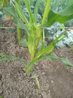 IMG_20190715_173043.webp