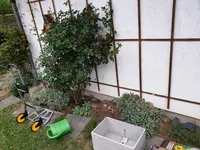 20190715_203754.webp