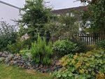 20190715_203808.jpg