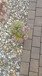 20190714_130033.jpg