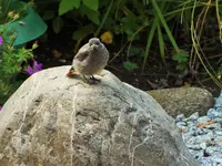DSCF2536 (2).webp
