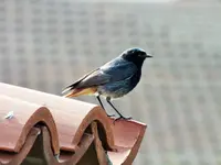 DSCF2531 (2).webp