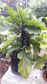 20190716_061859.webp
