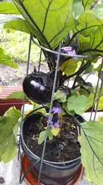 20190716_061850.jpg
