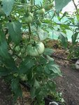 IMG_1880.JPG