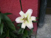 16_07_2019 (45).webp