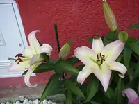 16_07_2019 (43).webp