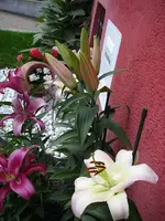 16_07_2019 (44).webp