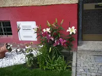 16_07_2019 (46).webp