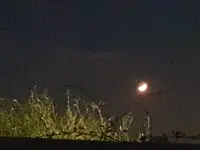 20190716_231252.webp 20190716_231252.webp