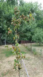 20190710_194801.webp