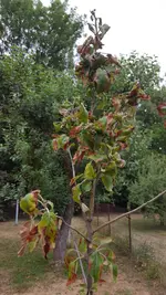 20190710_194805.webp