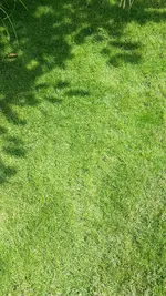 IMG_20190717_145513.webp IMG_20190717_145513.webp