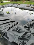 IMG_20190717_171352.jpg