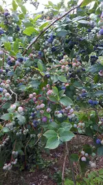 20190717_160359.webp
