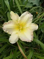 IMG_20190717_181457.webp
