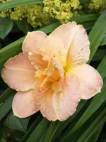 IMG_20190717_181514.webp