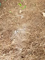 20190717_121532.webp