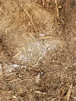 20190717_121624.webp