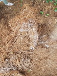 20190717_140004.jpg