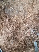 20190717_140435.webp