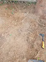 20190717_151524.jpg