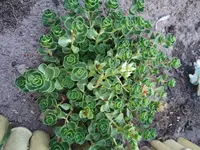 IMG_20190717_213352.webp