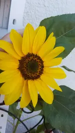 20190718_082725_001.webp