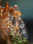 0M3A0780.jpg