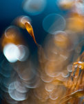 0M3A0788.jpg