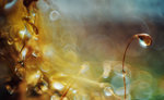 0M3A0774.jpg